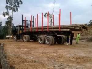Multidrive Vehicles LTD - M8 Forestry Vehicle